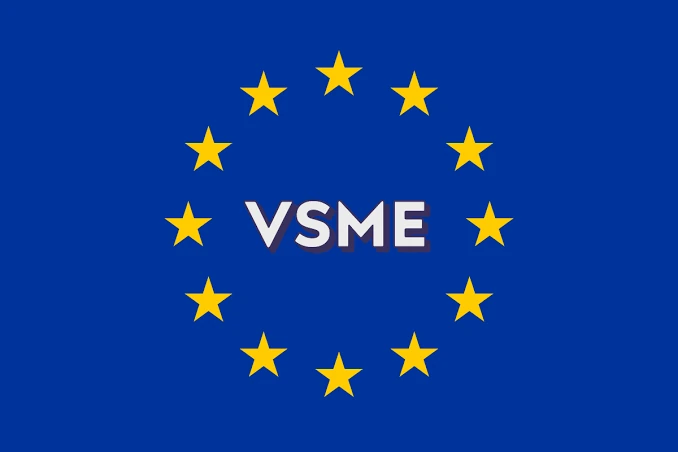 VSME